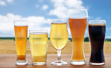 different types of beer glasses over cereal field