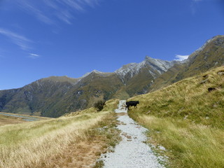 Rob Roy Gletscher Walk
