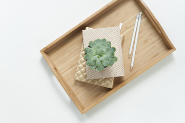 Wood tray with gold notebook and succulent