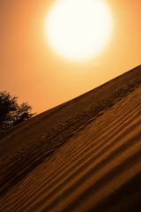 A huge golden sun shining through a sandstorm sky, over a beautiful golden desert sand dune. Sand...
