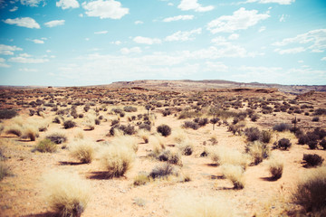 USA desert