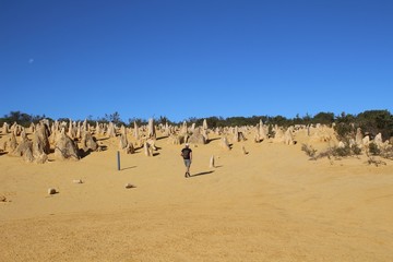Walking through desert of yellow sand and limestone pillars