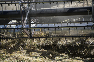 moissons à séverac d'aveyron