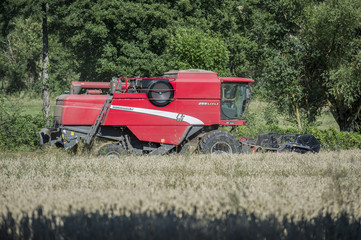 Fototapeta premium moissons à séverac d'aveyron
