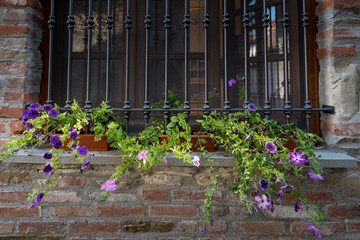 Naklejka premium Lerma, Piedmont, Italy - Views of the ancient village