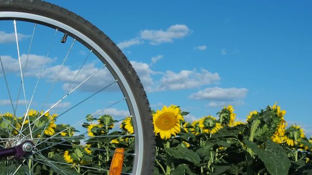 A spinning bicycle wheel against the sky. A bicycle in sunflowers.