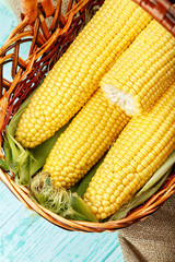 Basket of fresh sweetcorn, husked. Space for text