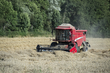 Obraz premium moissons à séverac d'aveyron