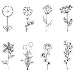Set of doodle flora, Wild and Nature flowers on white background illustration.