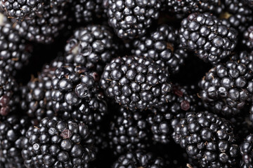 Blackberry close-up background