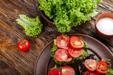 toasts with fresh tomato