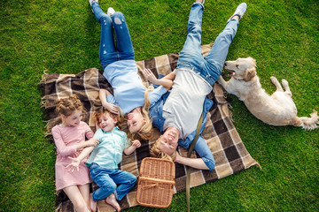 top view of happy young family with golden retriever dog resting on grass at picnic