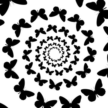 Background, pattern, black and white spiral pattern. Round centered Halftone illustration. Butterfly, rotation, rotation