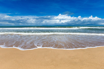 beach and tropical sea