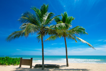 Naklejka premium tropical beach with palm trees and blue lagoon
