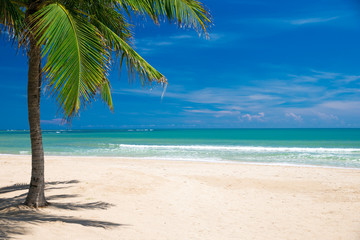 Plakat beach and tropical sea