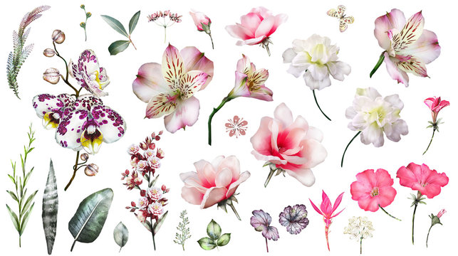 Pink Tropical Collection with plants elements - leaf, flowers. Botanical illustration isolated on white background. watercolor floral nature. Exotic set with  orchid, hibiscus.