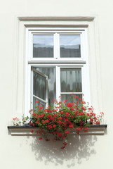 Fototapeta na wymiar Window With Flowers