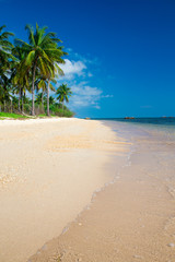 tropical beach with palm trees and blue lagoon