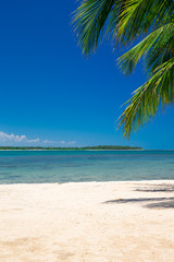 Fototapeta na wymiar tropical beach with palm trees and blue lagoon