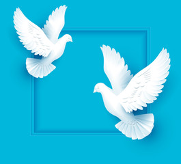 Two white dove fly on blue background