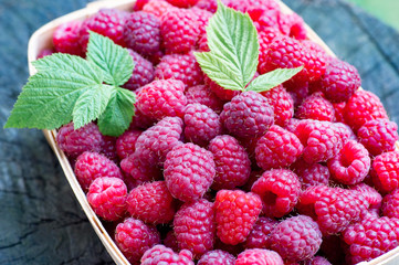 Ripe, big, sweet raspberry in a little wooden basket, on textured wood background. Close-up