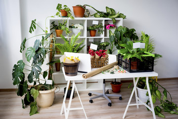 Inside a florist shop