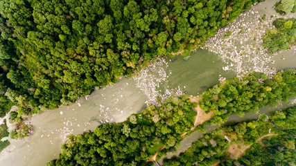 Top aerial view of river in the wood.