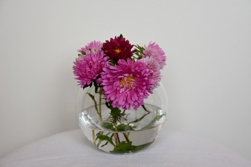 Asters in a round vase