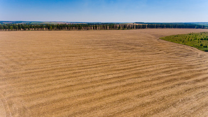 Aerial view of the yellow wheat field.