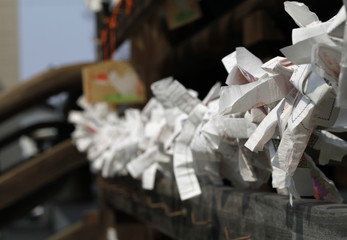 Fortune papers at Japanese shrine