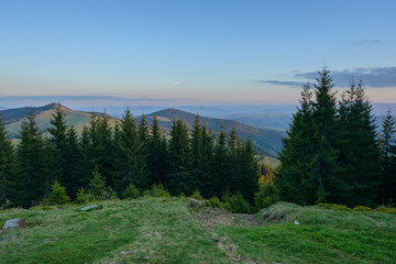 Landscape at sunset in the mountains and rows of coniferous trees in the Carpathians
