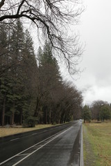 Carretera Yosemite