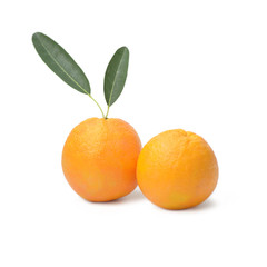Navel Orange Isolated on White Background
