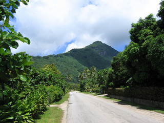Lush green mountain of French Polynesia
