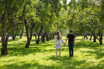 Naklejka premium The boy and the girl hold hands among the apple orchard