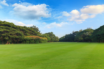 Fototapeta na wymiar Green grass and trees in beautiful park under the blue sky