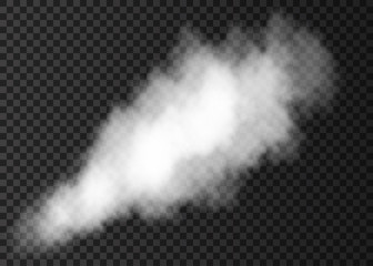 White  smoke puff  isolated on transparent background.