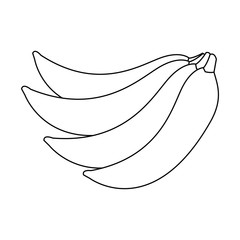 bunch of bananas fruit fresh natural