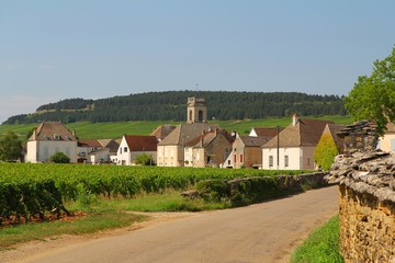 Fototapeta na wymiar Pommard, ein Dorf im Burgund, Frankreich