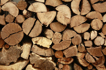 firewood