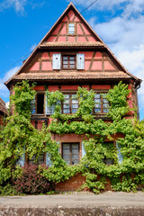 Fototapeta na wymiar Typisches Haus im Elsass