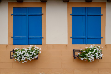 Hausfassade mit Blumen