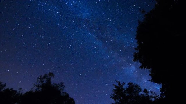 Beautiful night stars Milky way time lapse with forest trees foreground