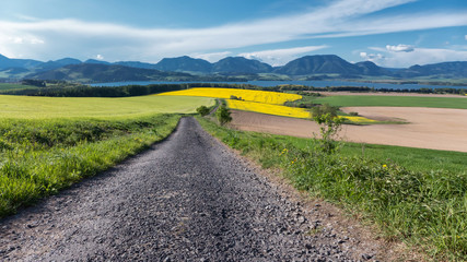 Fototapeta na wymiar Beautiful spring country in Slovakia