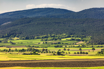Obraz premium green valley and the hills covered with forest