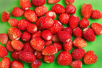 Wild strawberry