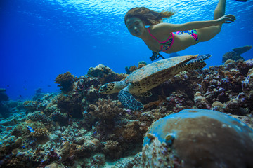 Caucasian girl underwater swimming with turtle over corals