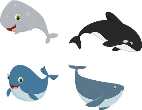 four cartoon whale