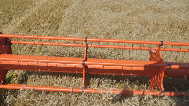 Harvesting grain. Harvester "claas lexion"